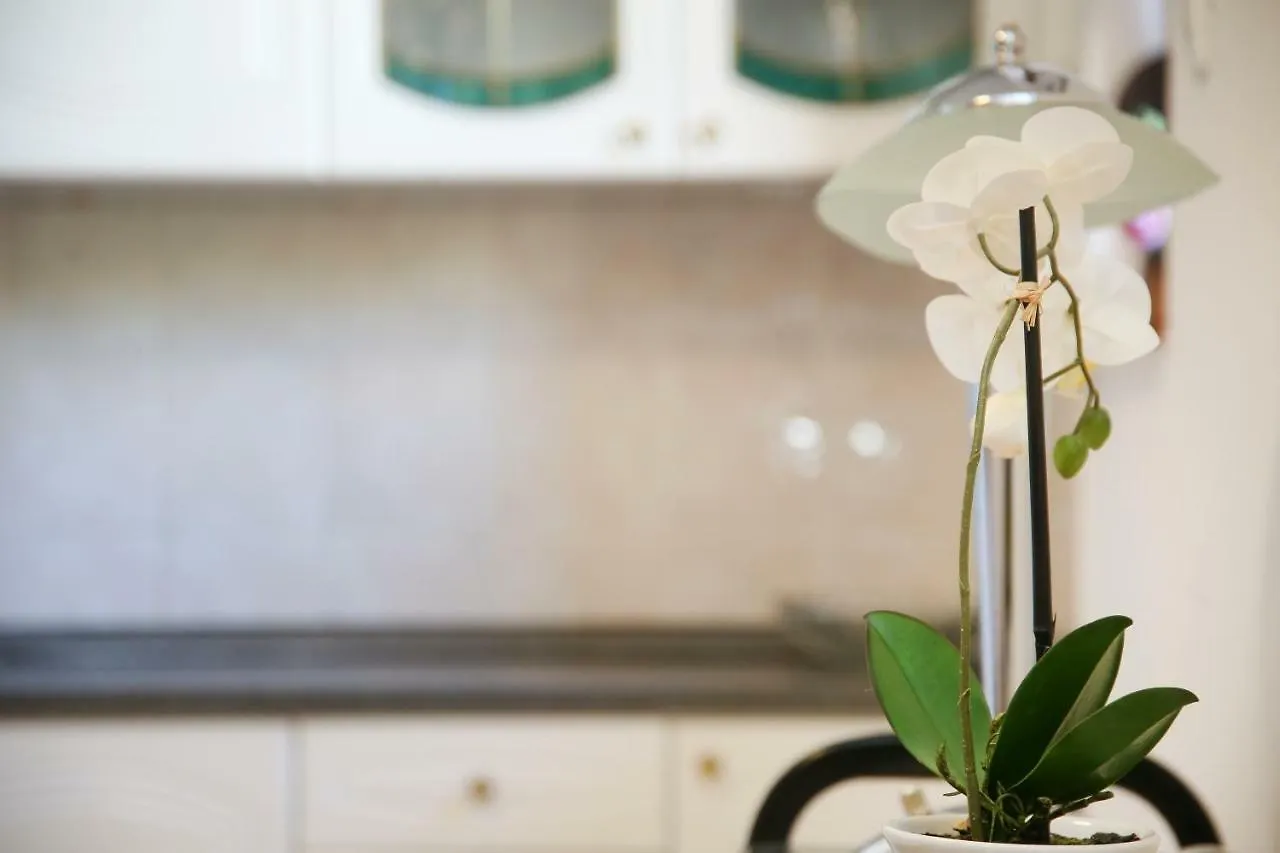 Pensionat Luxury Apartment Ela